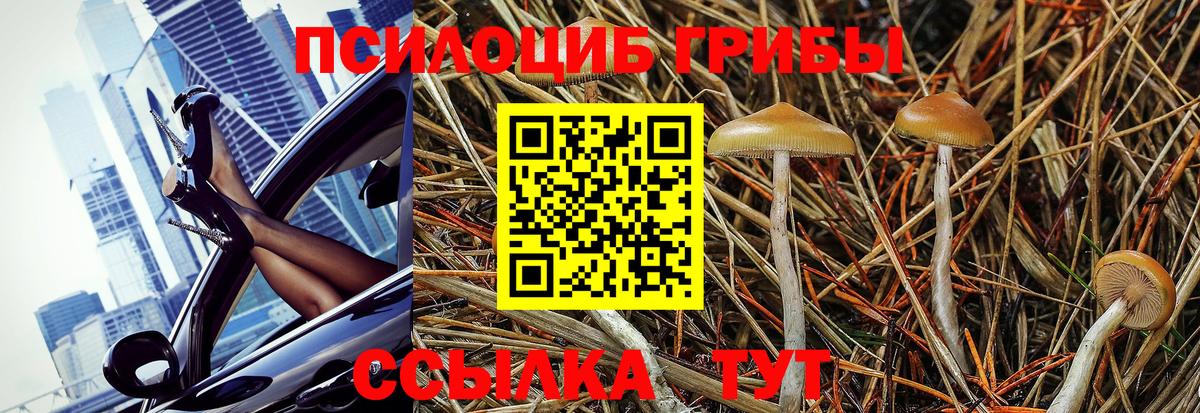 Псилоцибиновые грибы Psilocybine cubensis  Вход с VPN  Галлюциногенные грибы ЛСД  Мыски 