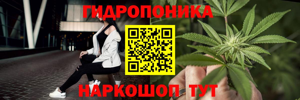 Мыски  Шишки марихуана OG Kush  Вход с VPN  Конопля конопля  Шишки марихуана индика 